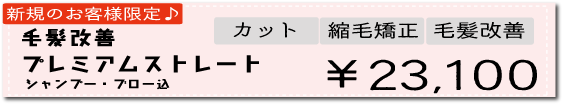 毛髪改善プレミアムストレート