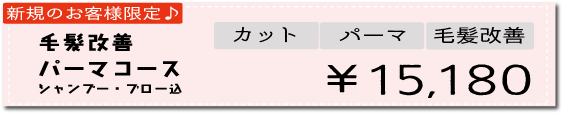 毛髪改善パーマコース