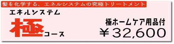 エネルシステム 極コース